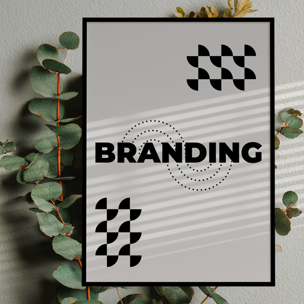 Portfolio de Branding