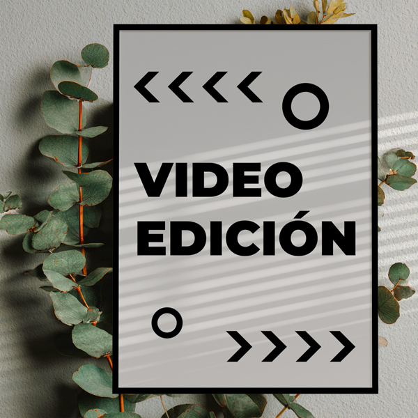 Portfolio de Video Edición